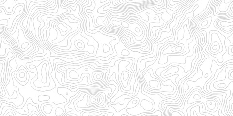 seamless pattern and topography map and counter map. abstract sea map area space geomatices line technology topo landscape grid map texture.	
