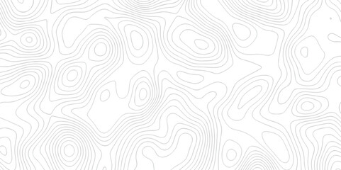 Fototapeta premium Abstract background vector seamless pattern and topography map and counter map. abstract sea map area space geomatices line technology topo landscape grid map texture.