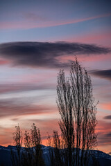 Fototapeta premium Tree silhouettes on a sunset with clouds in Patagonia, Argentina.