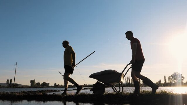 Male farmers pushing wheelbarrow handtruck cart in the agricultural rice field at sunset