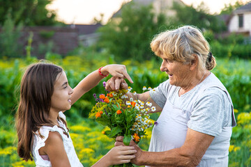 Grandmother and granddaughter hold medicinal herbs and flowers in their hands. Selective focus.