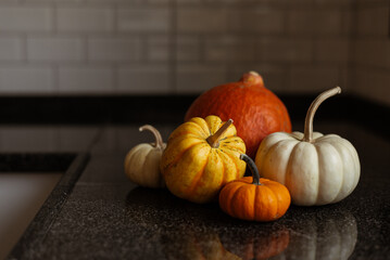 Still life of orange and white pumpkins in the kitchen. stock photo