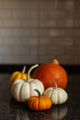 Still life of orange and white pumpkins in the kitchen. stock photo