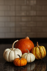 Still life of orange and white pumpkins in the kitchen. stock photo