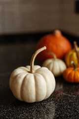 Still life of orange and white pumpkins in the kitchen. stock photo