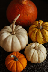 Still life of orange and white pumpkins in the kitchen. stock photo