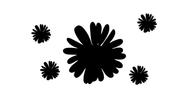 Zoom in and out animation the chamomile symbol. Large black symbol in the center and four small symbols around. Seamless looped 4k animation on white background