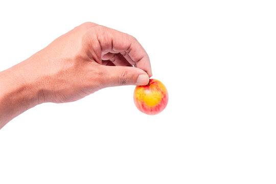 The man's hand picks up a small apple with his thumb and index finger for handling food. Isolated image.