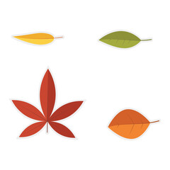 Set of autumn leaves stickers on a transparent background. set of leaves