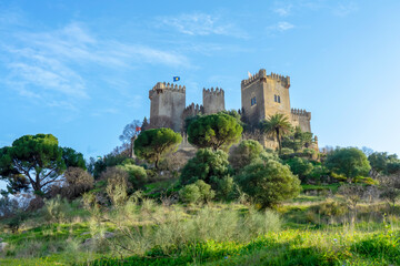 Fototapeta na wymiar Almodovar castle (Castillo de Almodóvar del Río), a castle of Muslim origin in Almodovar del Rio, Spain