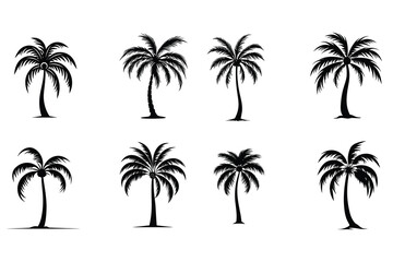 Fototapeta na wymiar Palm trees on the beach, palm trees silhouettes set of palm trees vector silhouette