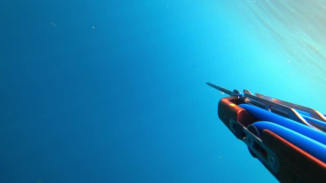 Underwater hunting with gun. Spearfishing in blue sea with sun rays penetrating surface of water. Active rest on summer vacation. Freediving and spearfishing. POV hunter swimming looking for fish