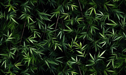 Forest bamboo background. Leaves green wallpaper. For banner postcard, book illustration.