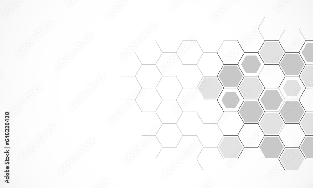 Wall mural Abstract design element with geometric background of hexagons shape pattern