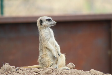 Photos de Corse été deux mille vingt-trois
