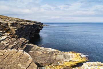 Mull Head, Nature Reserve; Orkney, Scotland