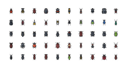 Naklejka premium beetle icons