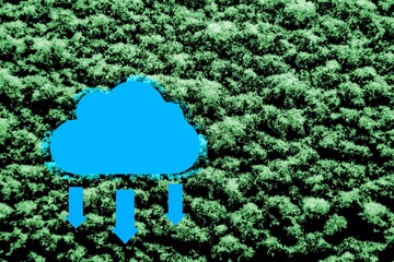 Concept of a co2 symbol in cloud on nature background