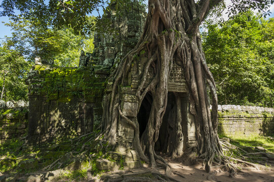Ta Som Temple, Built By The King Jayavarman Vii In The 12th Century, From Angkor; Siem Reap, Cambodia