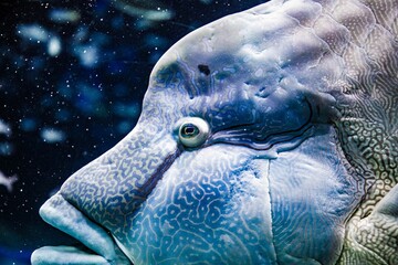 水族館