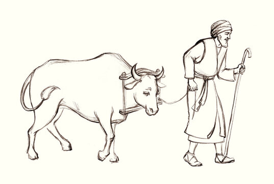 A man leads an ox for sacrifice. Pencil drawing
