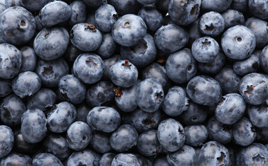 Blueberry background close up. Summer berries