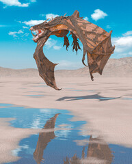 dragon is hunting down on the desert after rain