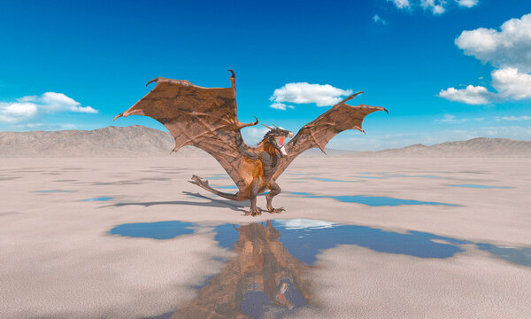 dragon is standing up and ready to attack on the desert after rain side view