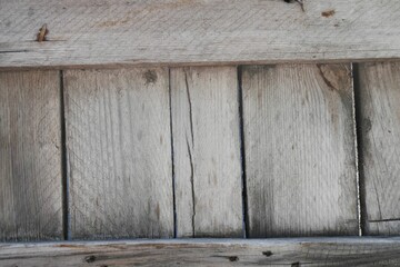 Gray dry wood background, wood detail ideal as a wallpaper or for a copy. Natural texture