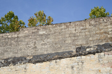 Wall of an abandoned building with trees