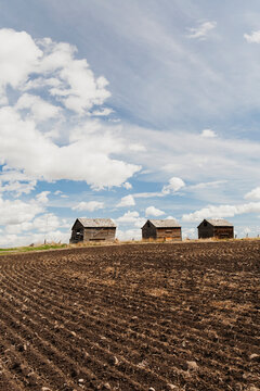 Three Old Wooden Small Barns In A Field With Seeding Rows In The Soil With Clouds And Blue Sky; Nanton, Alberta, Canada