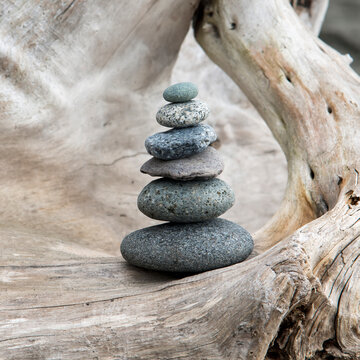 Pile Of Small Rocks On Driftwood; Oak Harbor, Washington, United States Of America