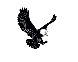 Vector illustration of an eagle in flight on a white background