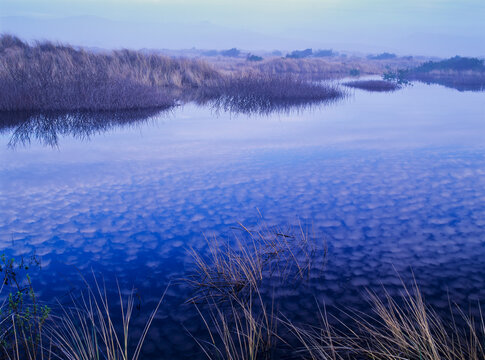 Clouds Reflected In The Deflection Plain; Lakeside, Oregon, United States Of America
