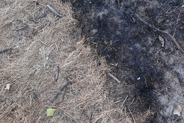 Fire fields, scorched earth, the aftermath of a meadow fire