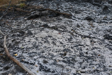 black scorched field as a background, scorched earth, the aftermath of a meadow fire