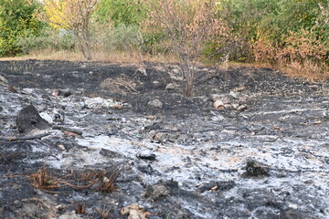Fire fields, scorched earth, the aftermath of a meadow fire