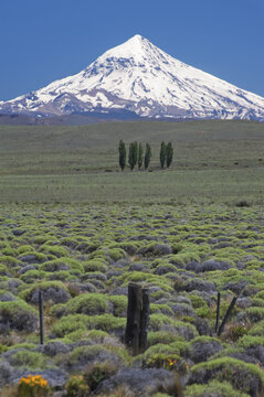 Lanin Volcano; Neuquen Province, Argentina