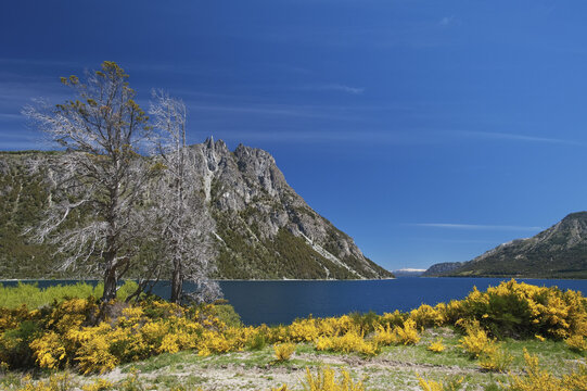 Nahuel Huapi Lake; Bariloche, Argentina