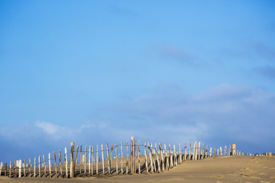 Wooden Post Fence Along A Beach With Blue Sky; South Shields, Tyne And Wear, England
