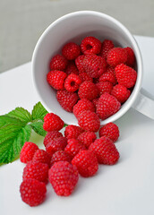 świeże maliny na słońcu w kubku, czerwone maliny, aromatyczne, soczyste maliny z zielonym listkiem, fresh raspberries in a cup, red raspberries, juicy raspberries with a green leaf, Rubus idaeus