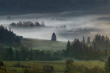 Misty mountain forest landscape in the morning, Poland. - 648273291