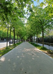 path in the park