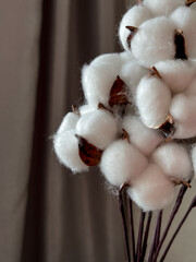 a bouquet of cotton flowers in a glass vase on a dark table and a light background. selective focus