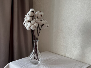 cotton flowers in the interior. a bouquet of cotton flowers stands in a glass vase on a table with a white tablecloth