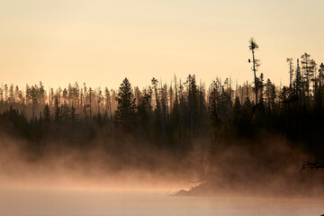 Early Morning, Lake, Yellowstone National Park Beauty of Nature in the USA, World Heritage