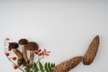 National Mushroom Day.