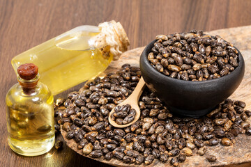 Ricinus communis - Dried seeds And Oil From The Fruit Of The Castor Bean Plant