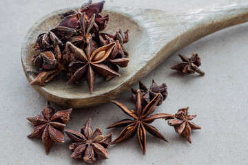 star anise. star anise on a wooden spoon
