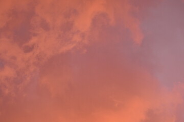evening sunset, rays of the sun through cirrus pink clouds against the background of the sunset...